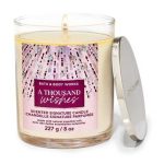 شمع بث اند بادی ورکز مدل A Thousand Wishes