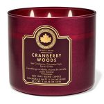 شمع بث اند بادی ورکز مدل Cranberry Woods