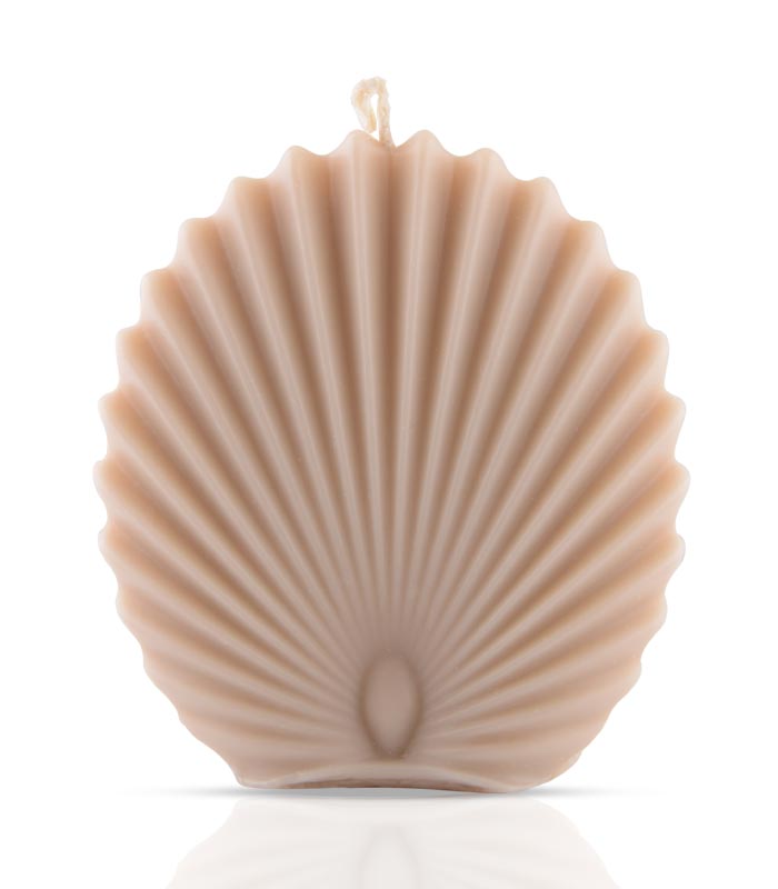 شمع دستساز قالبی مدل صدف کرم شمع دستساز قالبی مدل صدف کرم